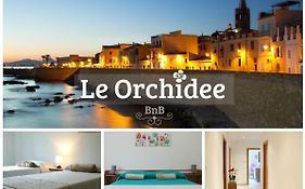 B&B Le Orchidee